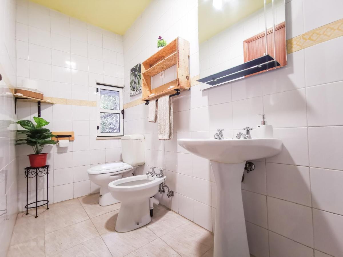 Casa Poema Next To River Tejo & Zezere Βίλα Constância Εξωτερικό φωτογραφία